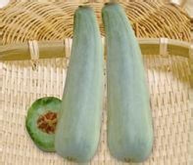 山東甜瓜代收公司 個體經營助力農產品產銷對接