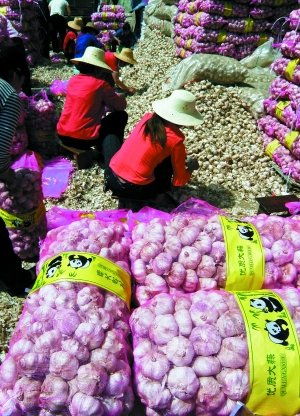 發改委成立市場價格監管處，通脹預期下重拳出擊農產品市場