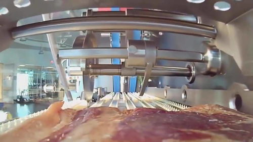 實拍外國食品工廠流水線 高效與美味并存，網(wǎng)友直呼“看餓了”