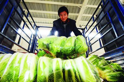 運輸鮮活農產品昨起享綠色通道，公路通行費全免