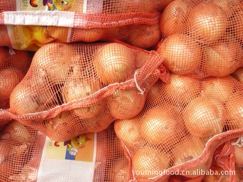 甘肅洋蔥市場探析 2012年保鮮洋蔥的價格、產地與品種特點